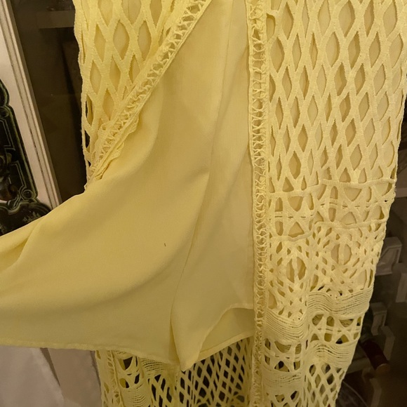 Luxel shorts romper with cotton netted long train. - Picture 3 of 7